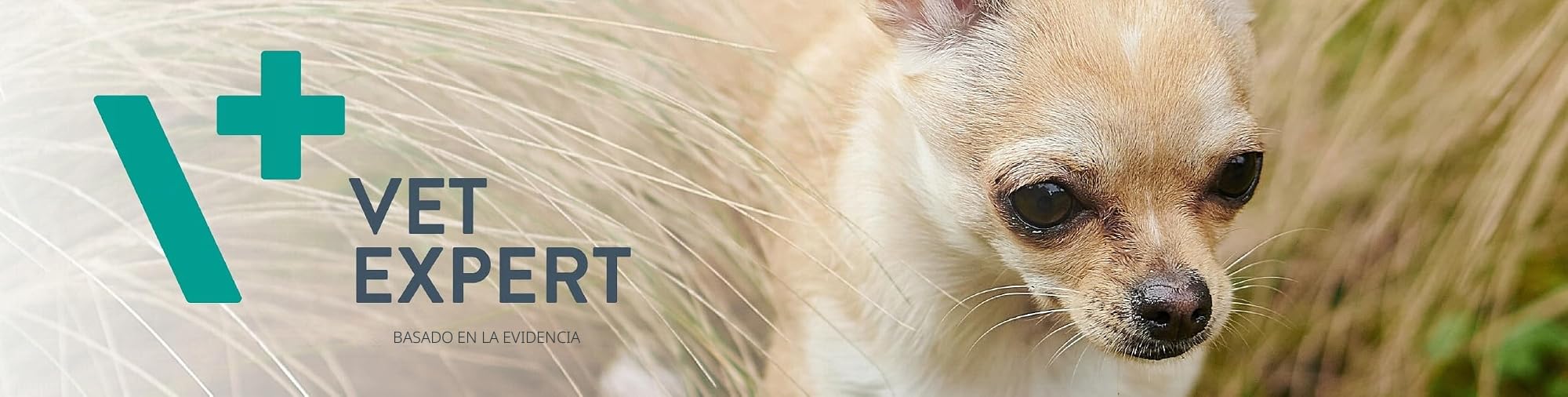 VetExpert KalmVet Advanced | 60 cápsulas | Suplemento alimenticio para Perros y Gatos | con Valeriana y Triptófano