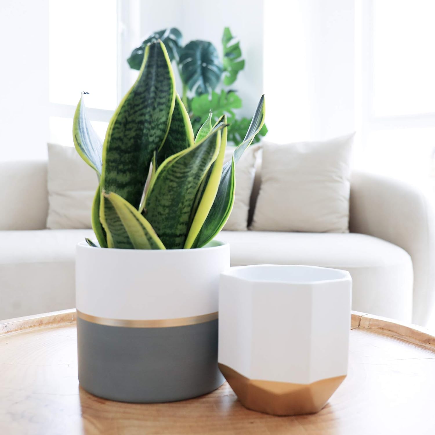 LA Jolie Muse White Ceramic Flower Pots – Pack of 2