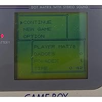 Vista 4 de Pokemon - Blue Version