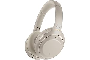 Sony WH-1000XM4 Silver AirPod Max Wireless Headphones