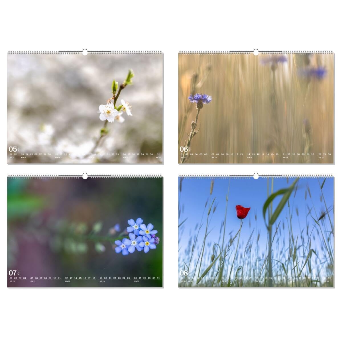 artboxONE Kalender 2027 Blumen mitten in der Natur Wandkalender A2 2027 Floral