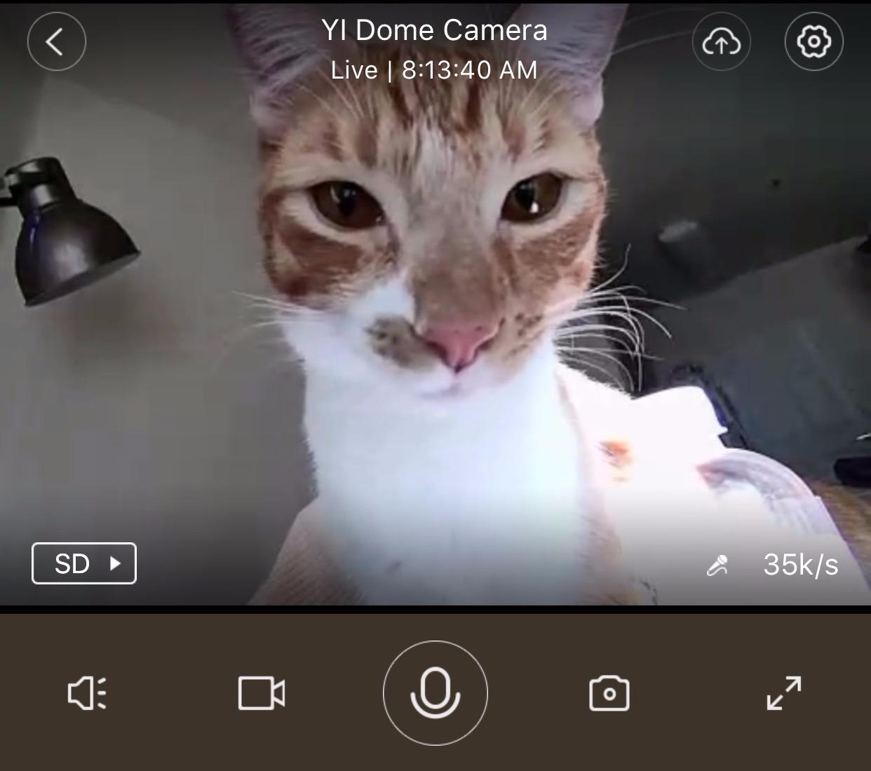 Great Purchase - A Couple Complaints