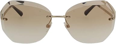 ch4220 sunglasses