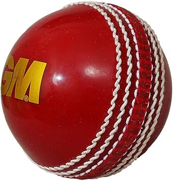 GM 1600941 Skill Poly Tennis Cricket Ball Soft - Red