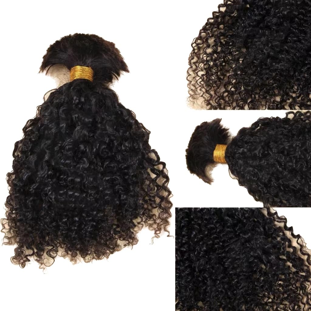 Afro Kinky Bulk Human Braiding Hair 100% Unprocessed Brazilian Virgin Human Hair Extensions Micro Kinky Curly Braids Hair Braids Double Drown Full End Bulk Hair 22 Inch 100g