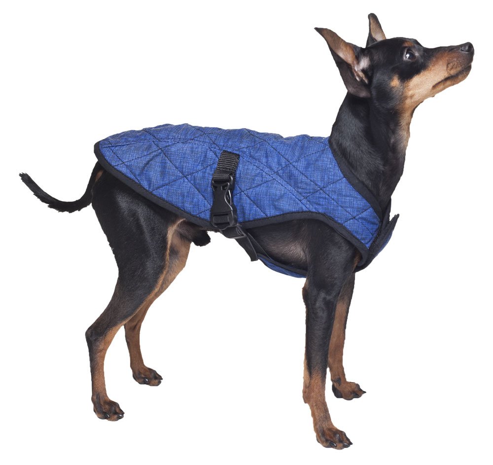 50AQPEJAPB05 Manteau Rafraîchissant pour Chien