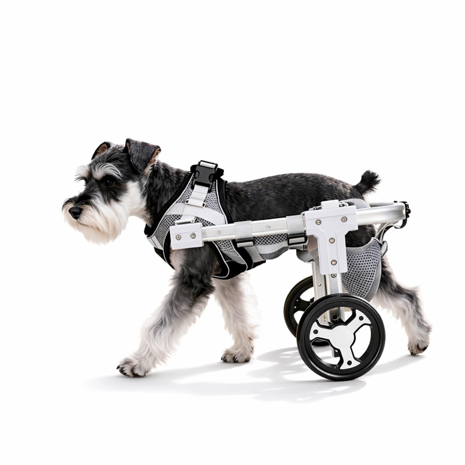 CASOME Adjustable 4-Wheel Dog Wheelchair For Front & Hind Legs – Lightweight Mobility Aid For Elderly Dogs – EVA Wheels For Comfortable Mobility & Easy Adaptation – Fits Small Breeds(White2wheel,L)