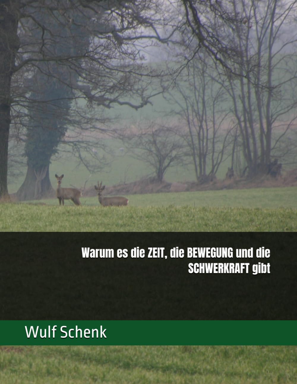 Warum es die ZEIT, die BEWEGUNG und die SCHWERKRAFT gibt