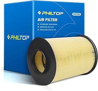 Engine Air Filter, EAF065 (CA11114) Replacement for Escape (2013-2019), Focus (2012-2018), Transit Connect (2014-2016), Mkc (2015-2020), Compatible with FA-1908 Air Filter