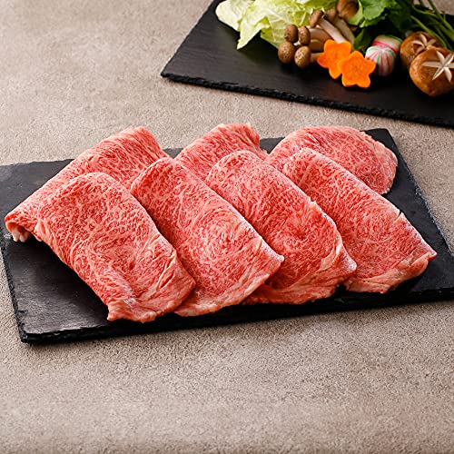 y|zMtg ꋍ₫p [XE[XEoi700gjA4 A5 Yјa