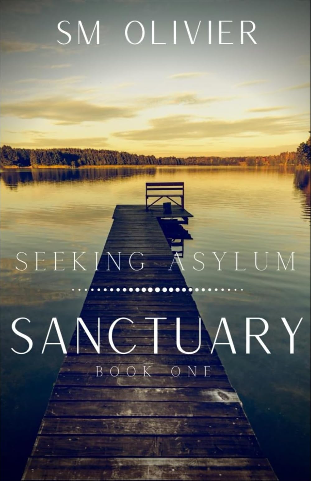 Sanctuary: Seeking Asylum Book 1 (Sanctuary Series)