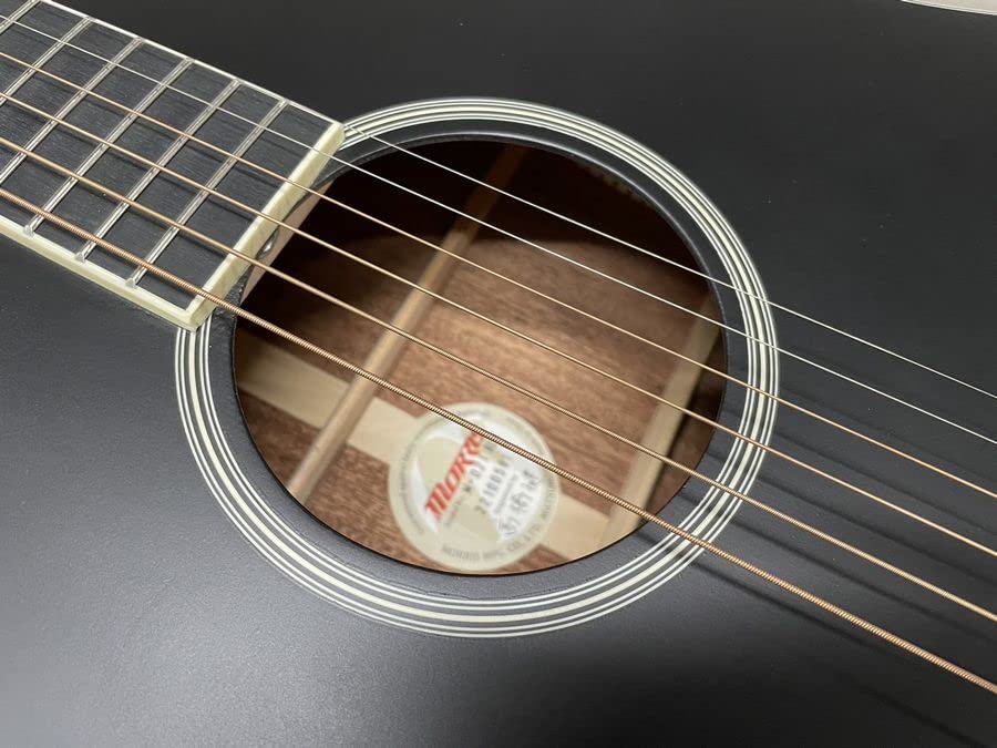 Amazon.co.jp: Morris M-021 BLK スプルース単板トップ モーリス 