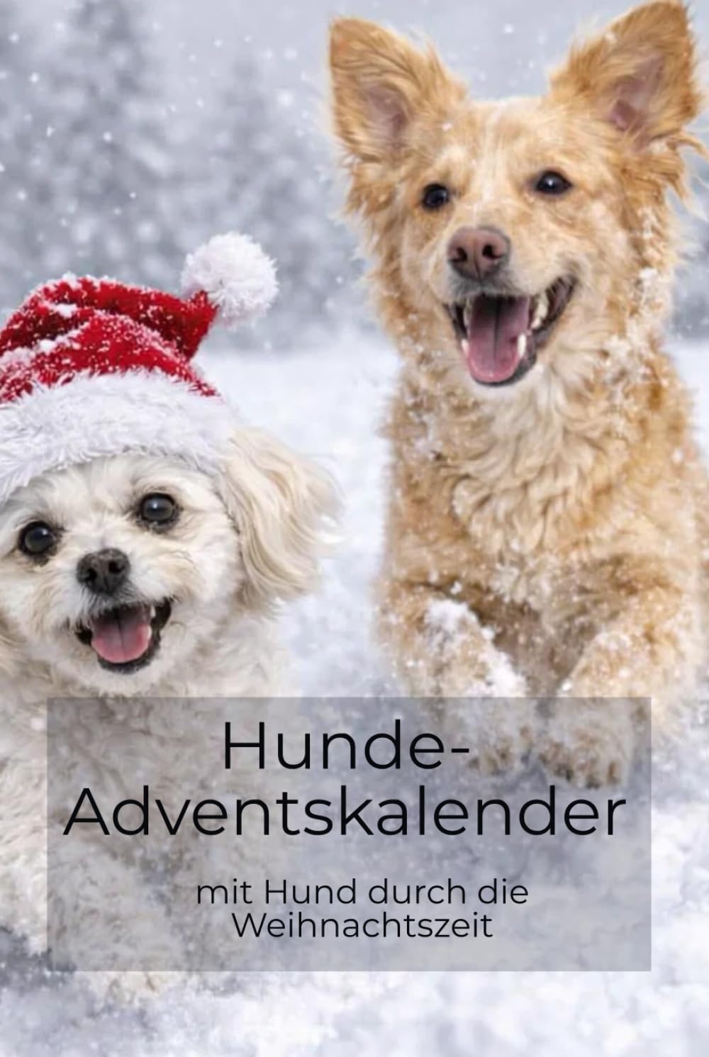 Hunde-Adventskalender: mit Hund durch die Weihnachtszeit