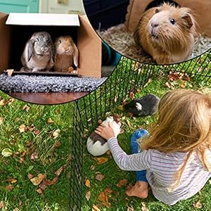   BestPet-Dog-Pen-Dog-Playpen-Puppy-Pet-Playpen-8-Panel-Indoor-Outdoor-Metal-Portable-Folding-Animal-Exercise-Dog-Fence24Black
