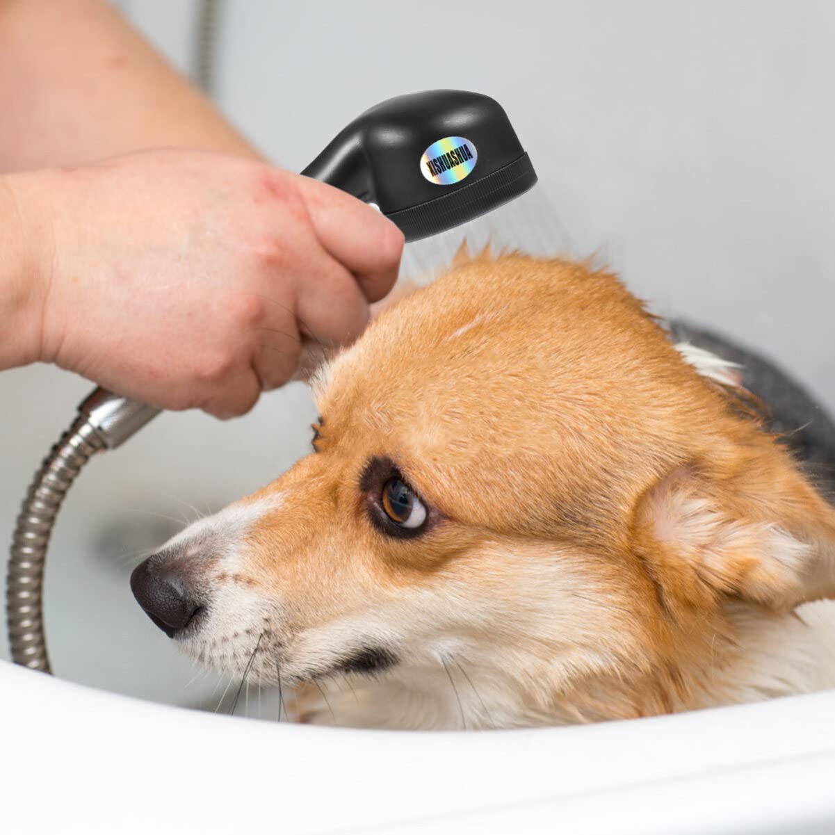 POPETPOP Shower Head Pet Shower Sprayer Combing Dog Sprayer Head Scrubber Dog Bath Brush Hair Washer Scrubber Bathtub Jets Jets take a Plastic Suite - Image 4