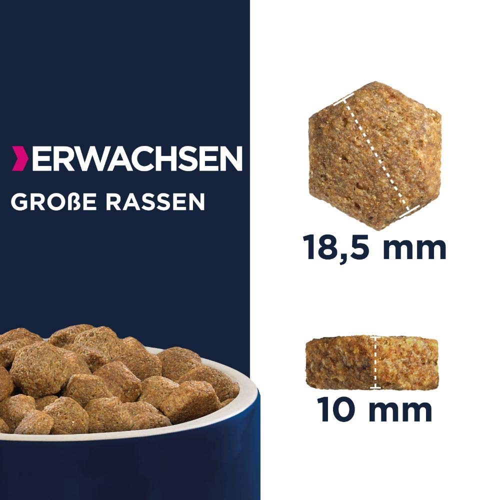 Eukanuba Hundefutter mit frischem Huhn für große Rassen, Premium Trockenfutter für ausgewachsene Hunde, 15 kg