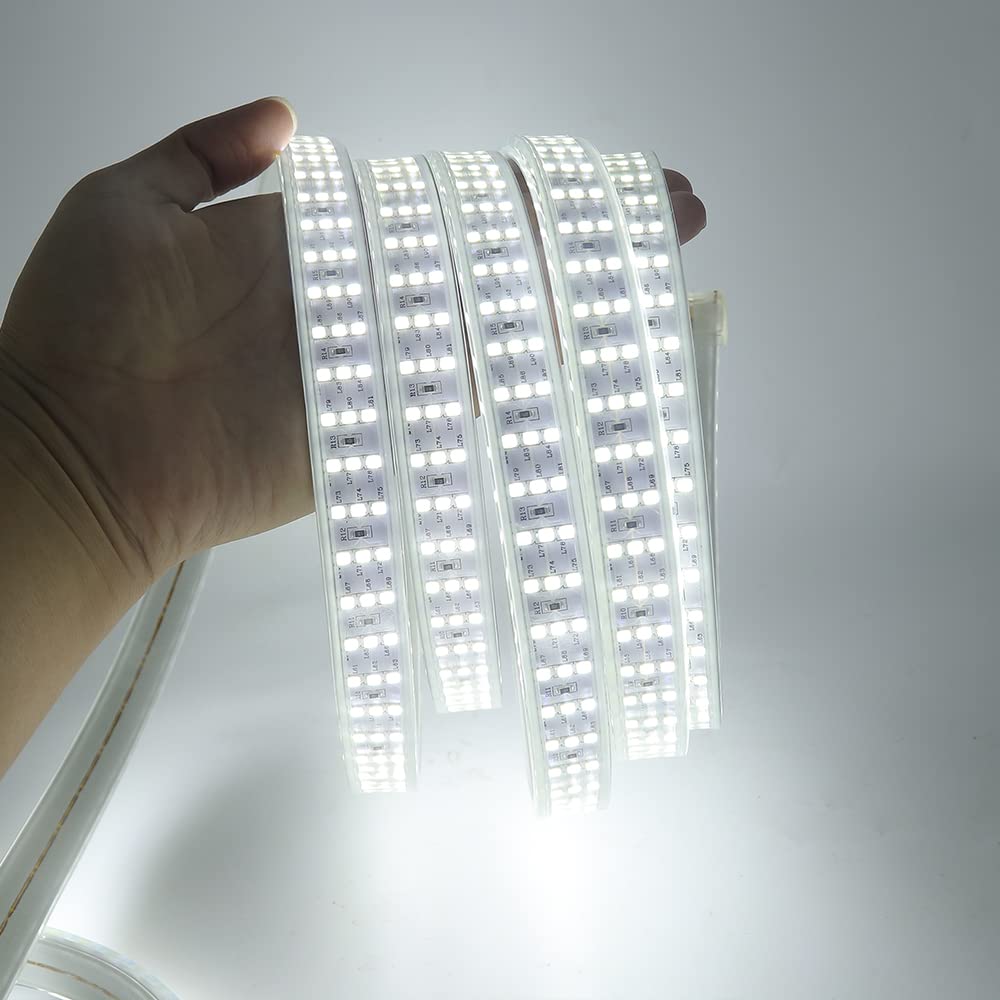 220V Ruban LED Dimmable, 9m Blanc Froid 6000K 276LEDs 2841,Lumineux Bandeau Led,Bande LED imperméable avec Variateur, DC Connecteurs,Eclairage Intérieur pour Meuble,Escalier,Chambre, Cuisine