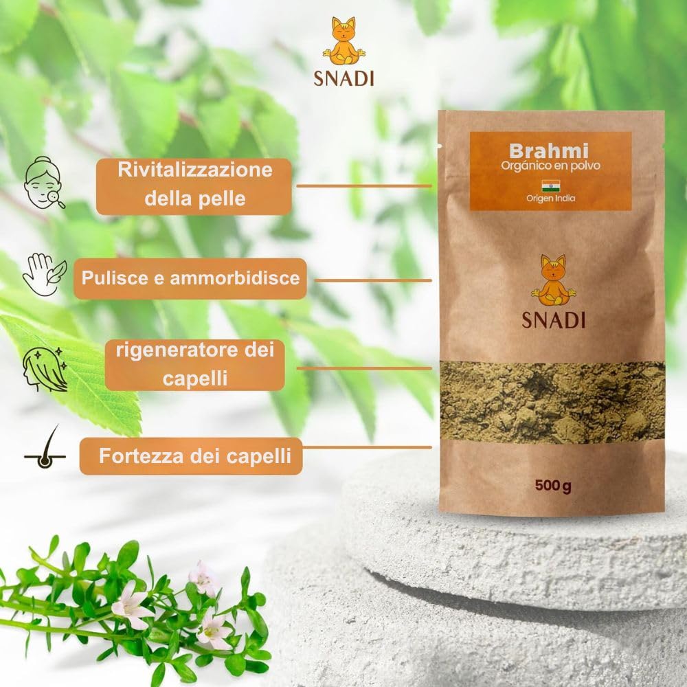 Polvere di Brahmi Organica 100%, 500g | Autentico dall'India | Per Cosmetici Fai-Da-Te | Sacchetto Doypack | Argilla Ghassoul, Capsule Vegetali, Bacopa Monnieri
