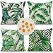 Cirzone wasserdichte Kissenbezugen 4 Stück 45 x 45 cm Dekorative Outdoor Kissen Wasserfest Atmungsaktiv Tropische Pflanzen Kissenbezugen Werden für Sofakissen Garten Outdoor