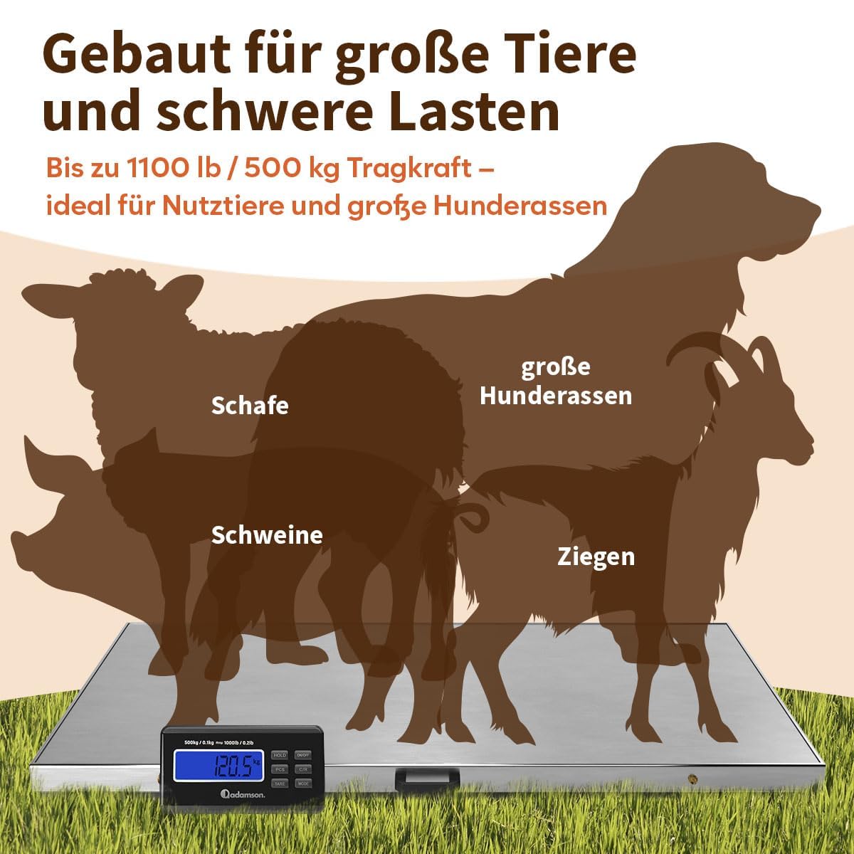 Adamson Tierwaage 500 kg – Digitale Plattformwaage & Hundewaage für große Hunde, Schafe, Ziegen & Schweine – Präzise Viehwaage mit Tare, Hold & PCS – Batteriebetrieb oder Netzteil