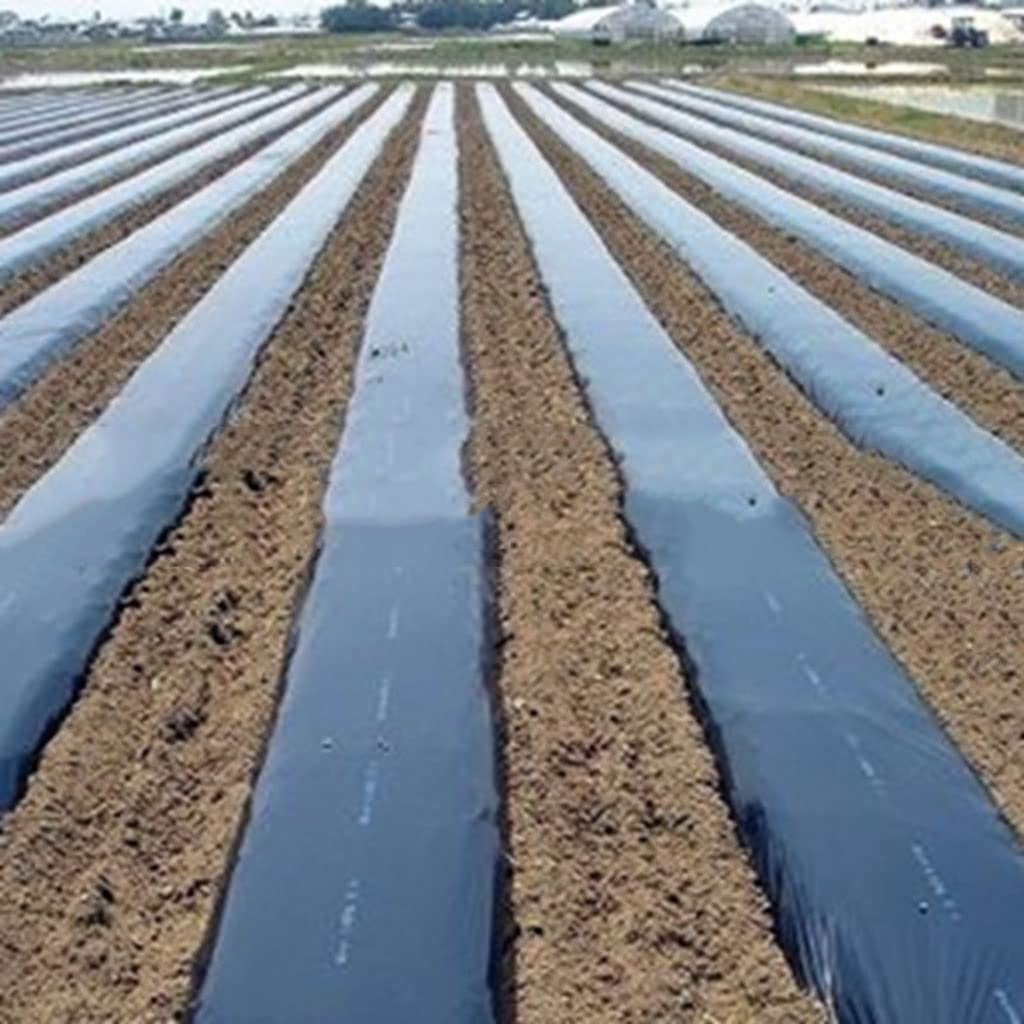 Agricultura, Deshierbe, Mantillo Negro, 0,8 M De Ancho, Espesor De 0,01mm, Invernadero Vegetal, Fresa, Película Plástica Especial, Películas For Cultivo De Plantas, 1 Uds. ( Size : 0.8mx100m(2pcs 50m)
