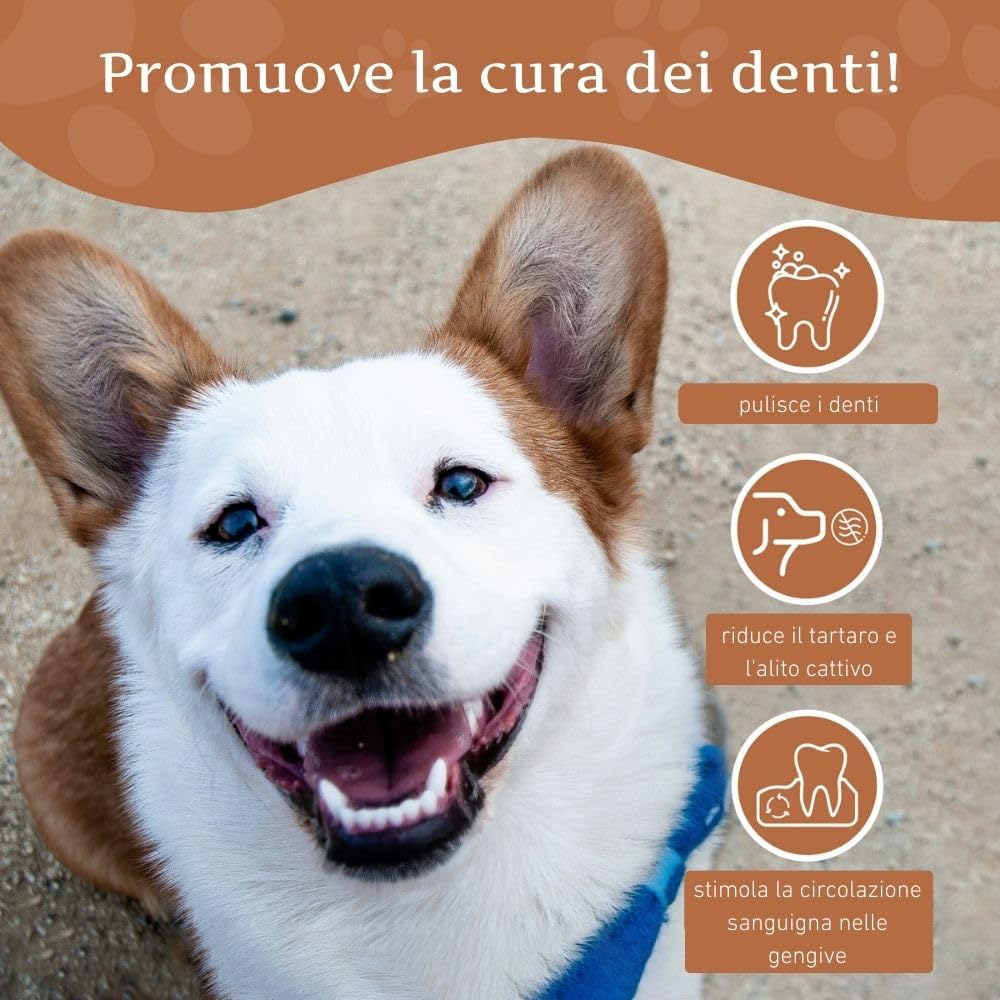 Wildfang Legno di Caffè Bastoncino Masticativo per Cani Piccoli (10-15 kg) - Gioco Dentizione Cuccioli