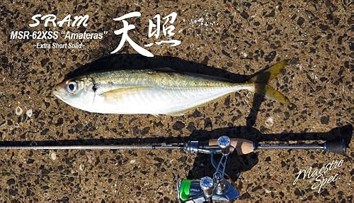 ティクト スラム MSR-62XSS 天照 TICT SRAM 5枚目