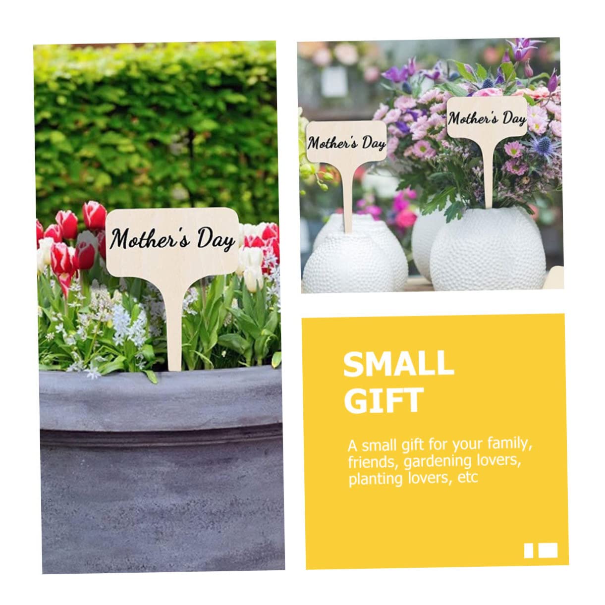 Milisten 4 ensembles Étiquette De Jardinage Nom Plante Piquets Plantes Petites Jardinières Étiquettes De Jardin Étiquettes Blanches Imperméables Pour 20 pièces * 4