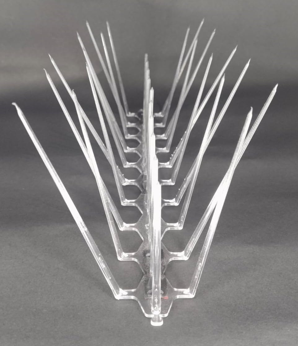 10 Pcs Bird Spike | 3 Row Anti Bird Spike | Anti Pigeon Spike with 3M Double Sided Tape | Bird Control Spike to Protect Window/Split AC (B0CCJP69VW) Amazon Price History, Amazon Price Tracker