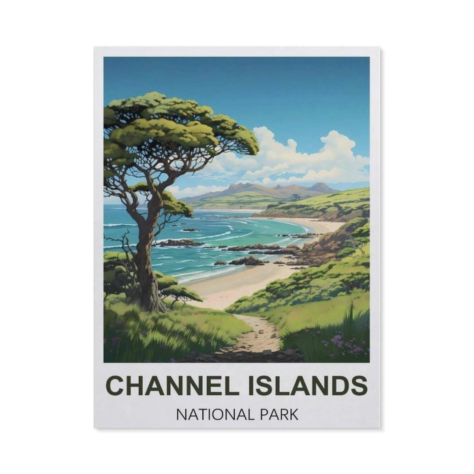 BEAYODKP 5D Diamond Painting，Channel Islands National Park Vintage Travel Posters，Diamond Embroidery Cross Stitch（30 x 40 cm/11.81 x 15.74 inches）-CC11