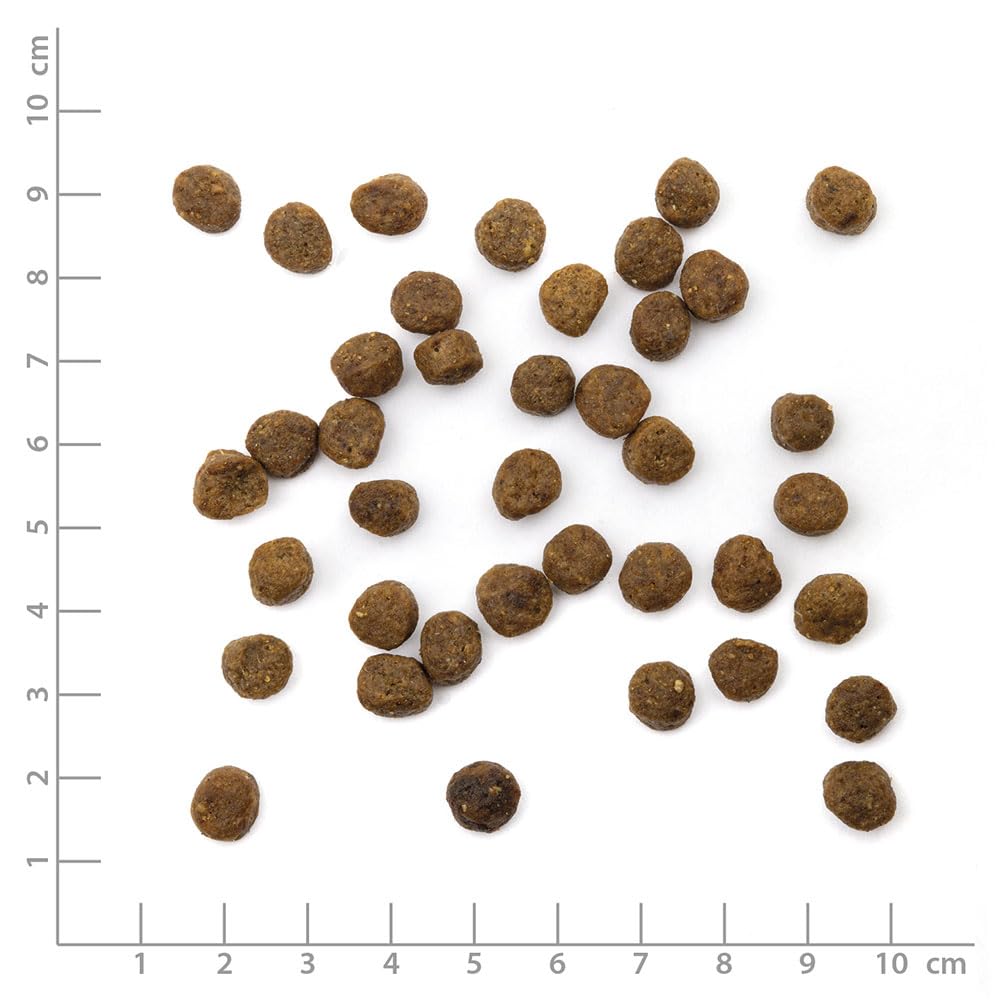WILDES LAND Comida Seca para Gatos Pollo Gatito 1,2 kg. Lote de 4 Unidades