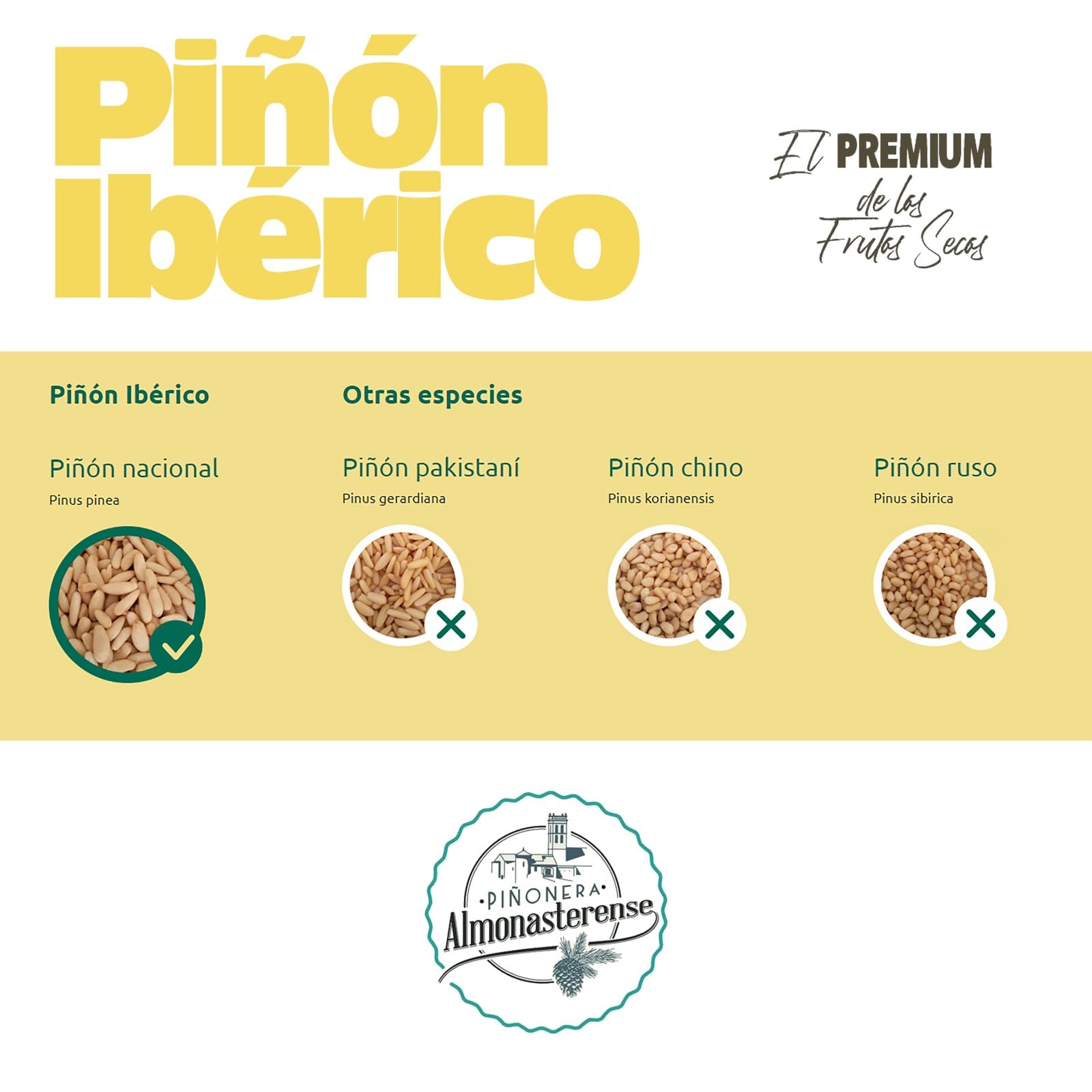 Piñón Ibérico Gourmet 100g – Sabor Intenso y Natural – Origen Certificado en España – Sin Gluten, Sin Aditivos, Rico en Nutrientes