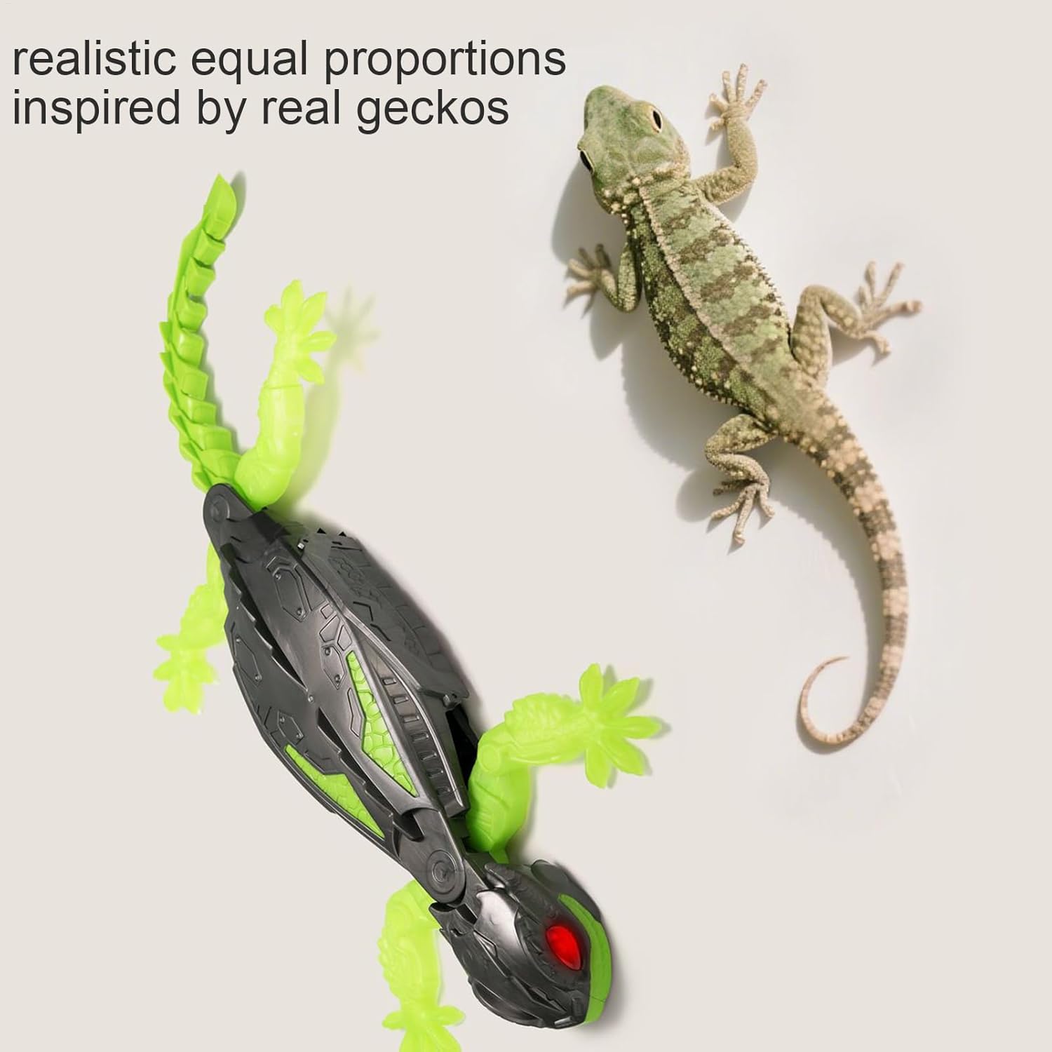 rienda | RRロゴスウェットベアTOP (ベアトップ ) |SHEL'TTER WEBSTORE [ゴスロリワールド] ダメージ 壁登りリモコントカゲリアル, リモコンカー, クローラーゲッコー いたずらデバイス 子どもたちへのプレゼントに最適 クリスマス ハロ