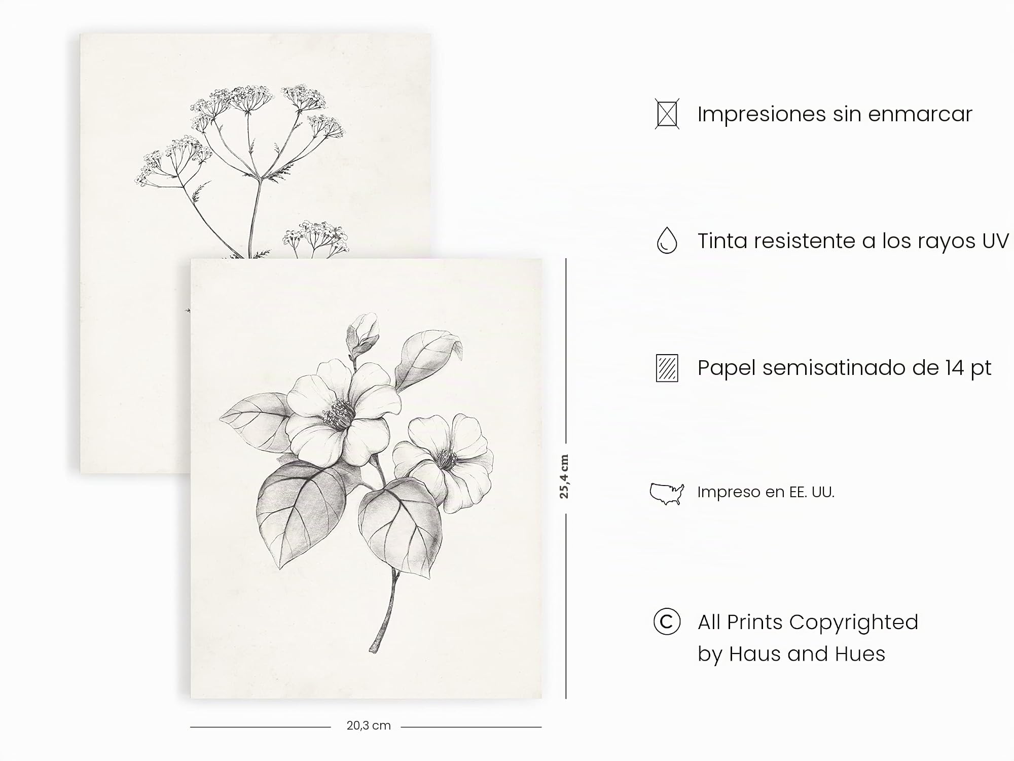 HAUS AND HUES Arte de pared floral gris, juego de 4 pósteres de plantas para pared vintage, impresiones botánicas, imágenes de flores en blanco y negro para estética de habitación, baño de granja,