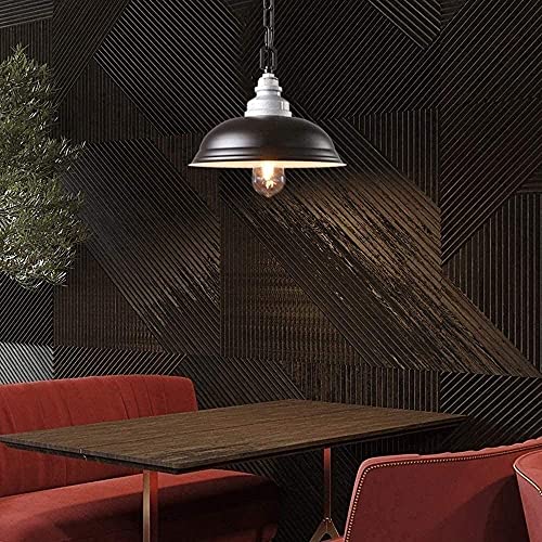 Edison lighting fixture métallique pour remplacer un éclairage de salon terne - 3