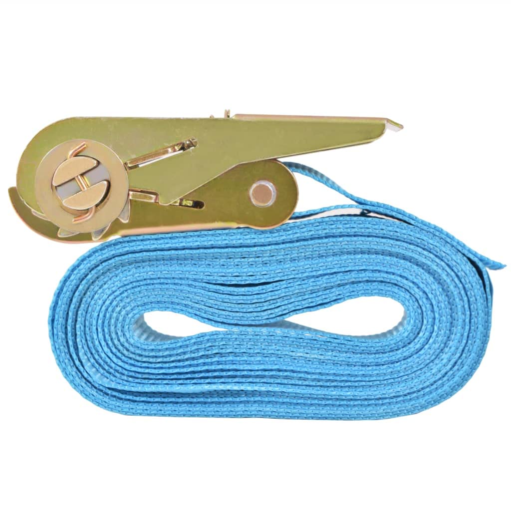 Cinghie di ancoraggio a cricchetto, 10 pezzi, 0,8 tonnellate, 4 m x 25 mm, blu, in poliestere, con cricchetto, per fissare carico, trasporto, campeggio, auto, rimorchio, moto, barca