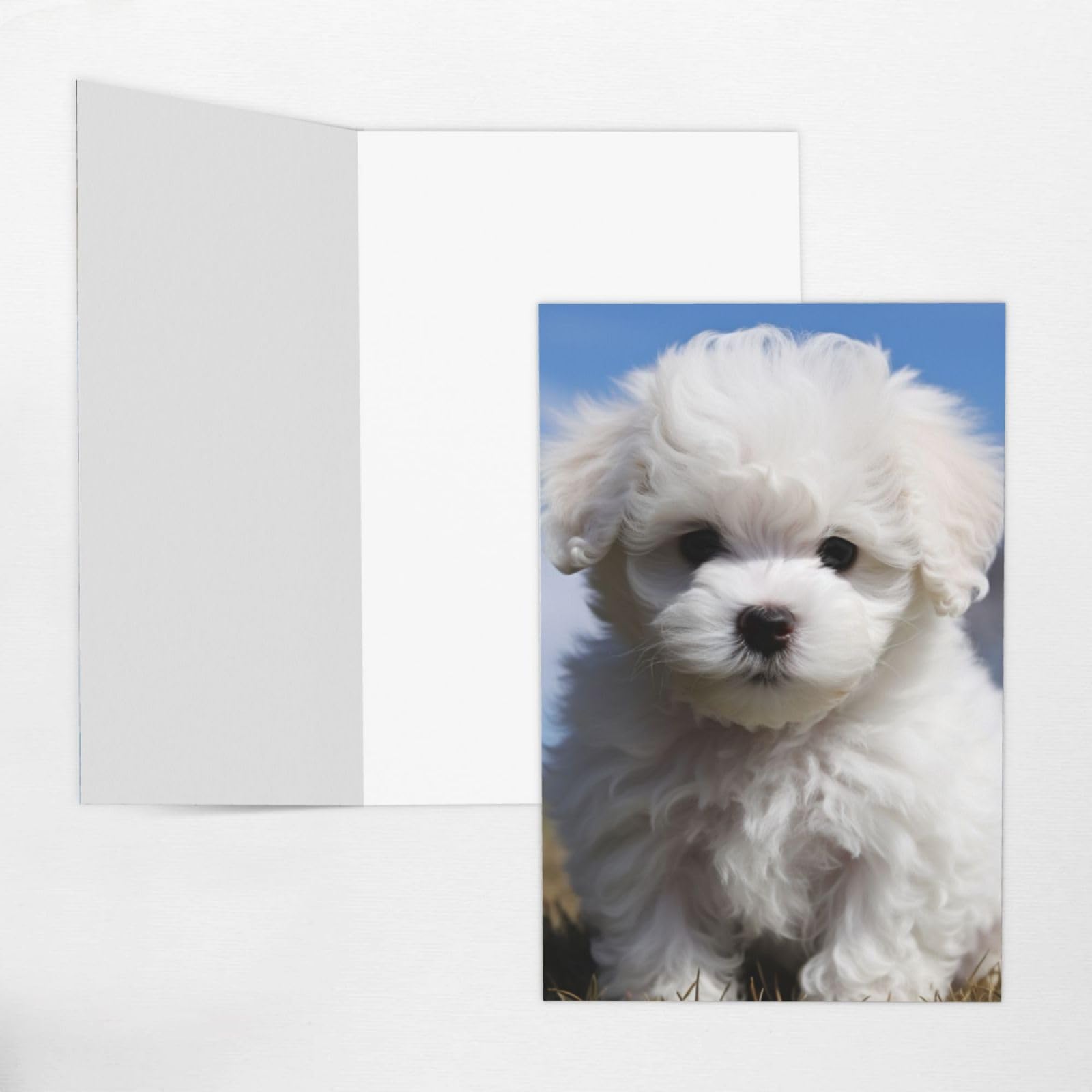 Amazon.co.jp: GDSHJKLW ビションフリーゼ 犬 ブランク グリーティング