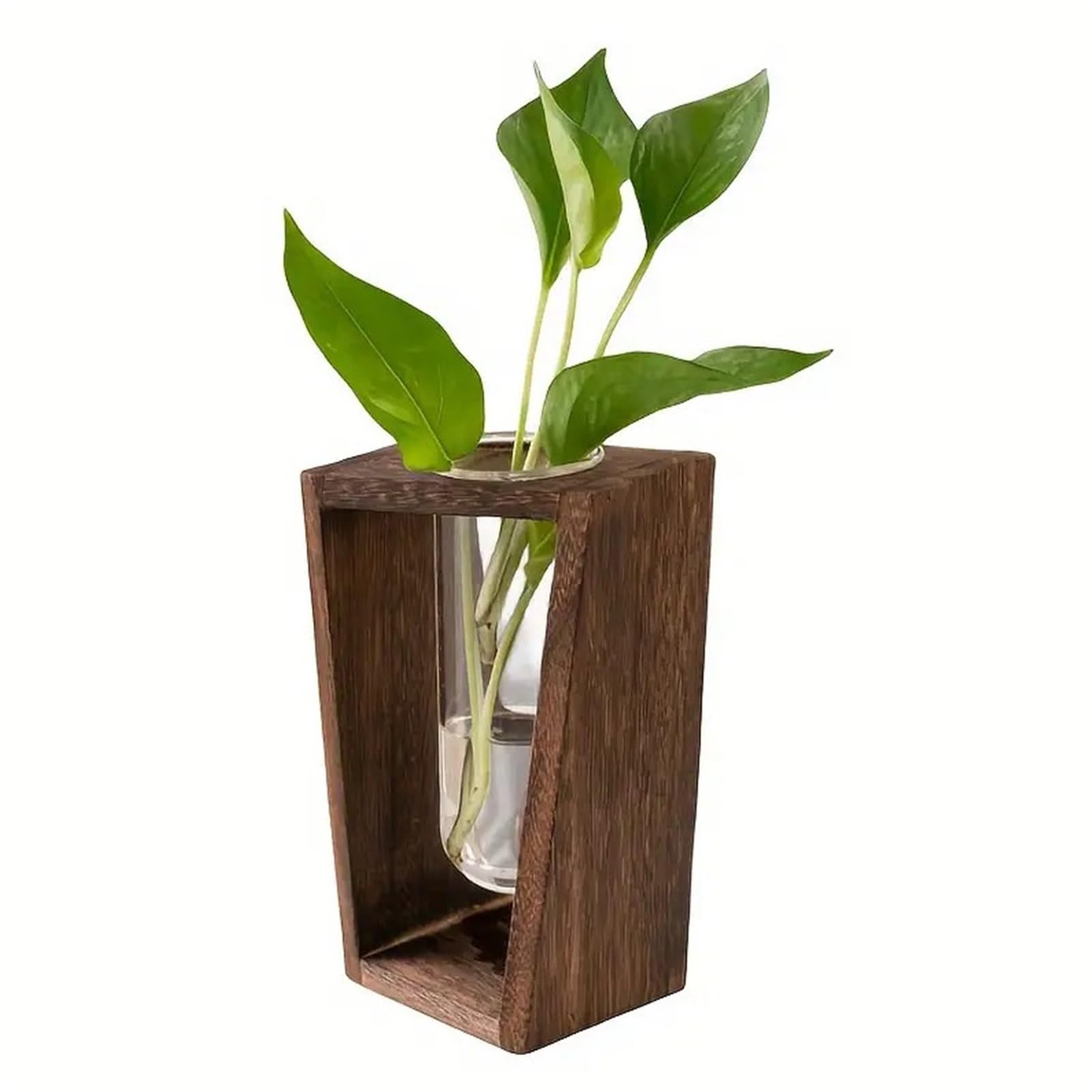 QuxetlRyz Glass Hydroponic Vase Modern Wood Propagation Vase - Minimalist Hydroponic Planter for Home & Office Decor