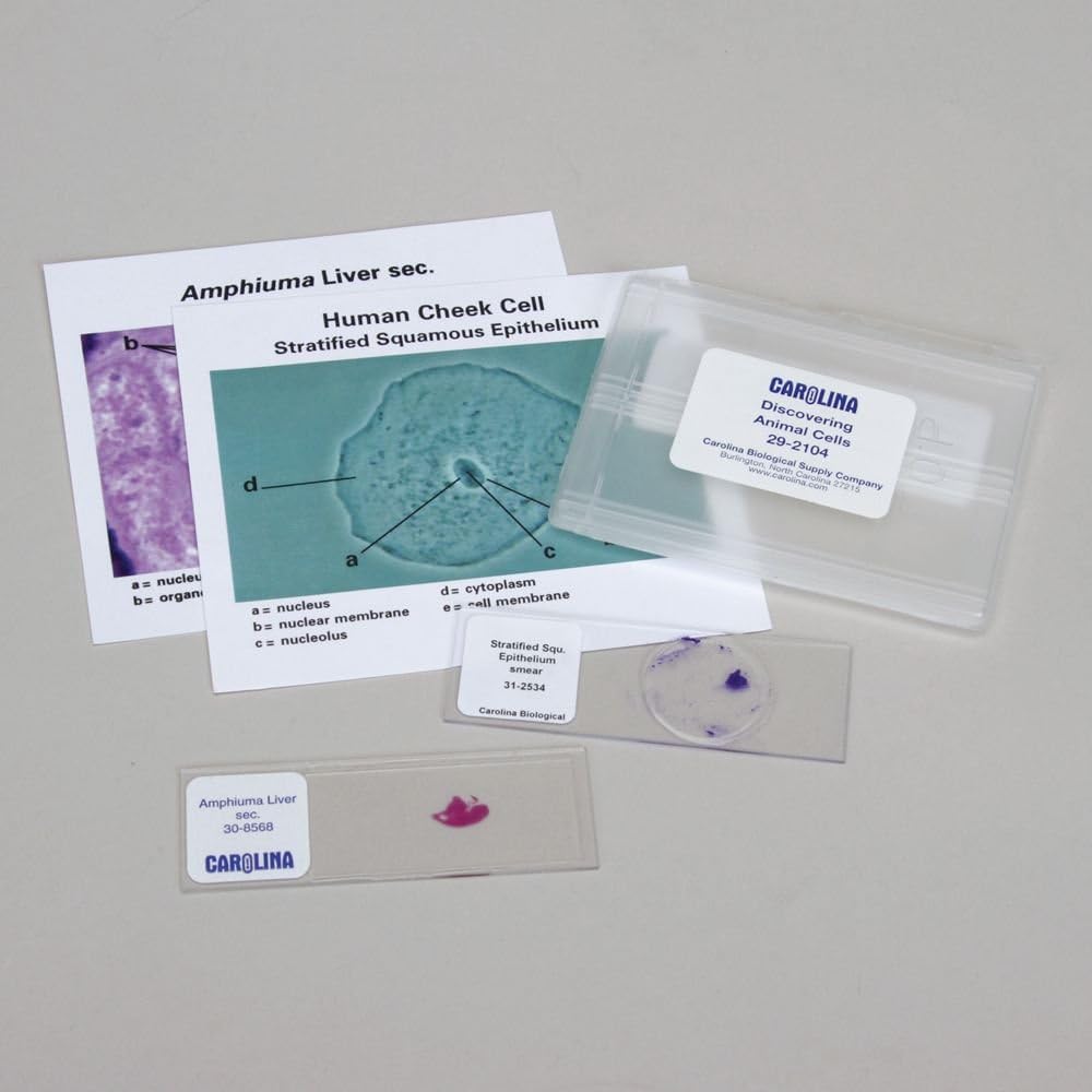 Carolina Discovering Animal Cells Microscope Slide Set