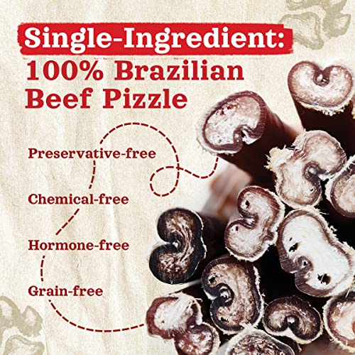 Natural Farm 12345 Odor Free Bully Sticks (7 Inch, 10 Pack), 100% Beef Pizzle Chews For Pups, Small And Medium Dogs - Fully Digestible & Best Natural Dental Treats To Keep Your Dog Busy & Happy thumb #4