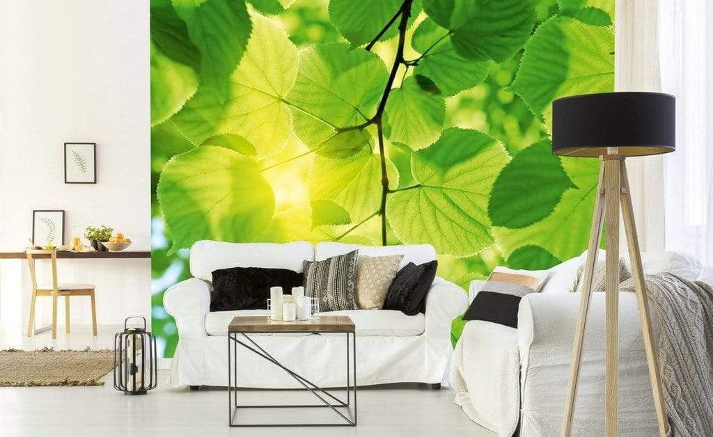 Fototapeta z włókniny, zielone liście, 375 x 250 cm, tapeta na flizelinie, tapeta ścienna łącznie z klejem | jakość premium