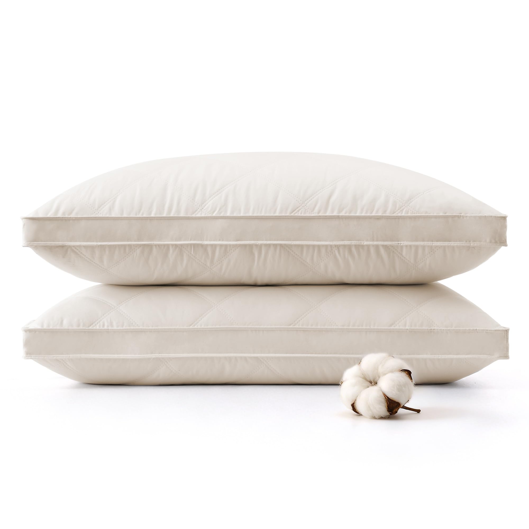puredown Goose Feathers and Down Pillow