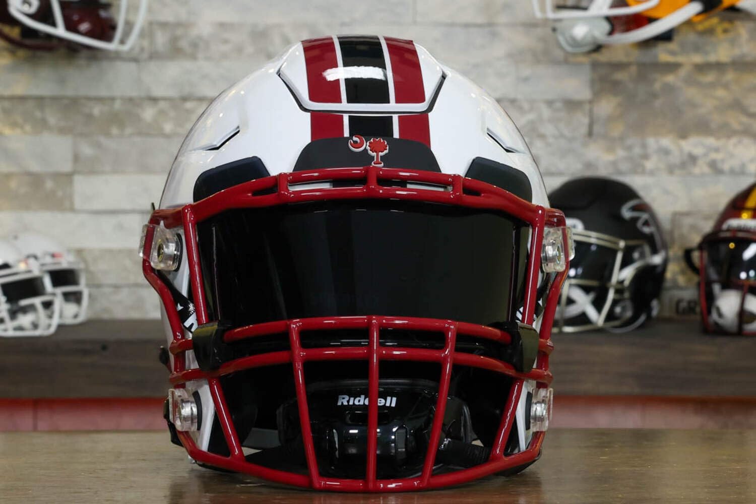 South Carolina Collectible SpeedFlex Helmet - GG Special Edition - with Free USA Flag Decal - Perfect for Sports Fans and Collectors - Green Gridiron
