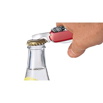 Amazon | VICTORINOX(ビクトリノックス) キャンパー RD