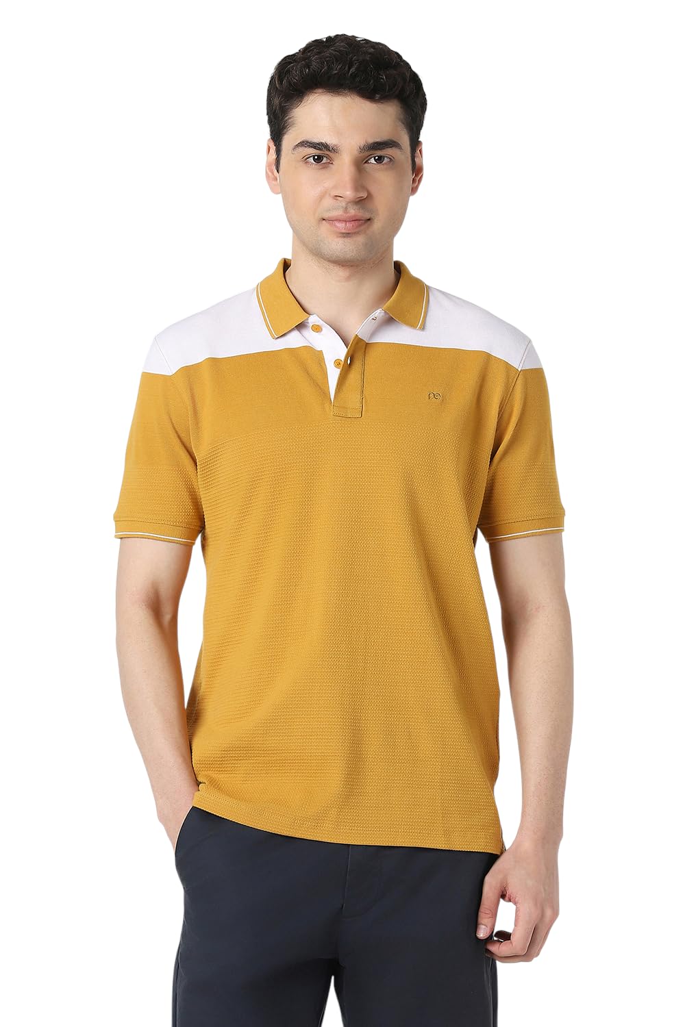 peter england Men's 100% Cotton Striped Polo T-Shirt – Casual Wear | Timeless & Comfortable-picture-20