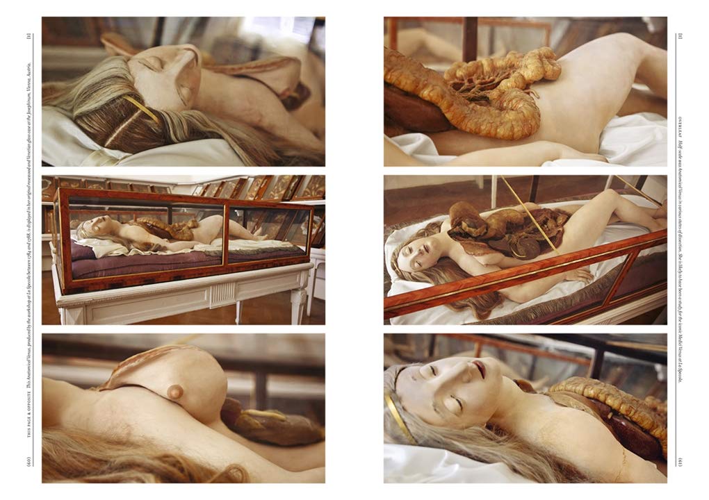 The Anatomical Venus: Wax / Sex / God / Death