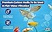 5 Lbs Bulk Water Filter/Air Filter Refill Coconut Shell Granular Activated Carbon Charcoal by IPW Industries Inc