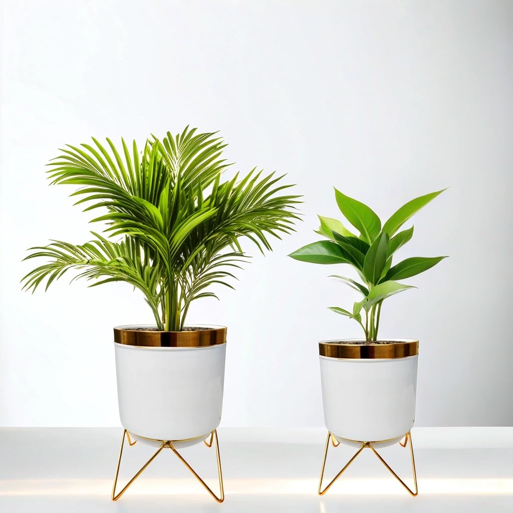 LAQA Metal Planter Indoor Plant Pot Elegant Design with Stand White Gold Set of 2 Pieces (B0DDJ8QTPS) Amazon Price History, Amazon Price Tracker