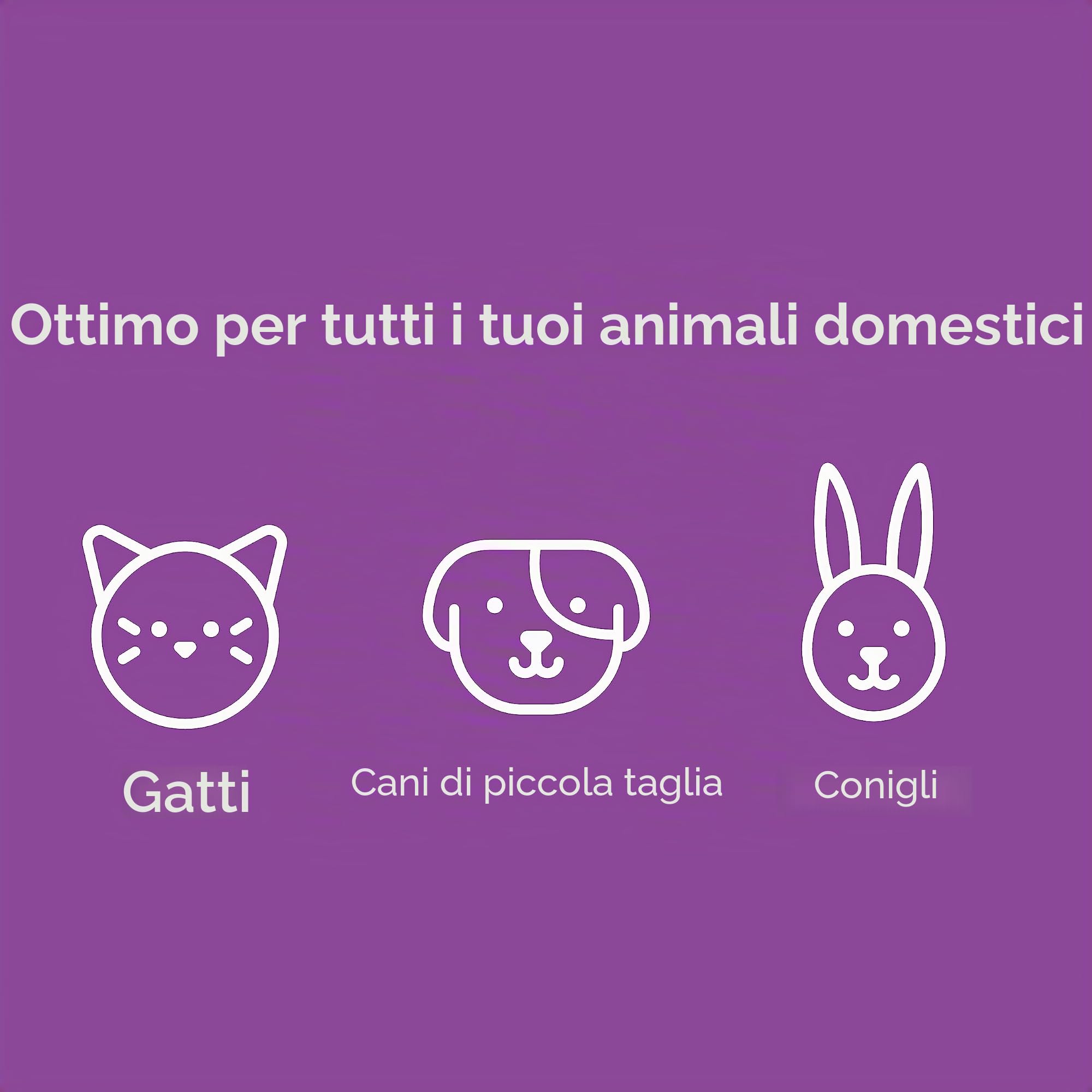 Litter Genie XL+ Secchio | Sistema di smaltimento dei rifiuti della lettiera per Gatti per Il Controllo degli odori | Include 1 Sacchetto di Ricarica Jumbo