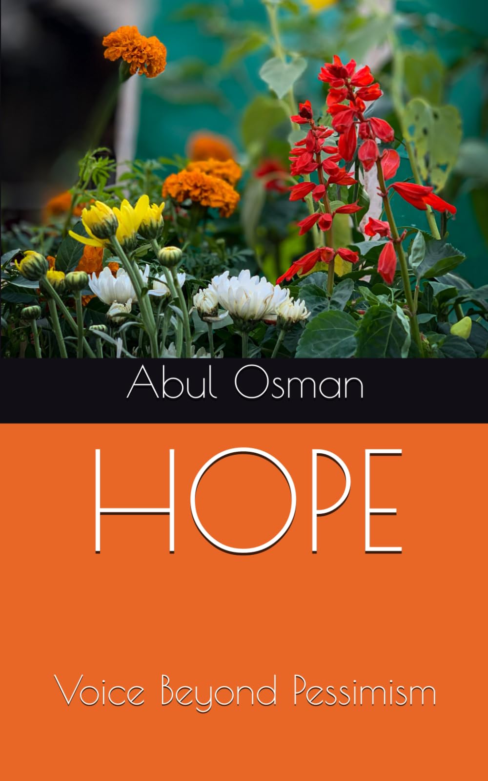 Hope: Voice Beyond Pessimism (Rohingya Futures)